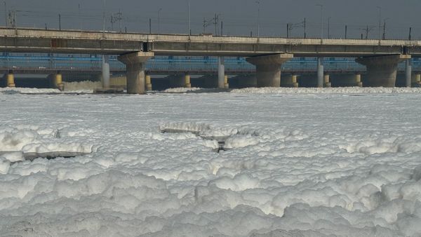 OneIndia Ground Report: Youth Volunteers Lead The Fight Against Frothing In Yamuna River At Delhi-Noida Border