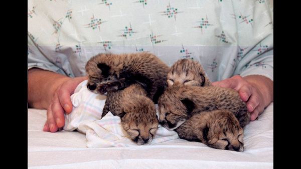 Allegations of Negligence as Woman and Newborn Die During C-Section Surgery