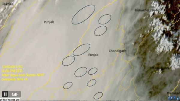 Delhi-NCR Air Pollution: Are Farmers Outwitting Satellites To Hide Stubble Burning? Here's The Truth