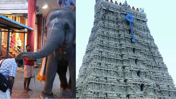 Tamil Nadu: Elephant Kills Caretaker, Relative As They Try To Take Photo In Tiruchendur Temple