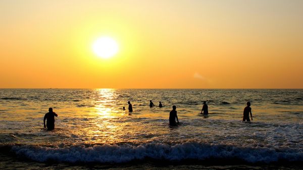 Goa Tourism Row: X User, Lawyer Write Open Letter To CM Sawant Over Complaint On 'False' Data