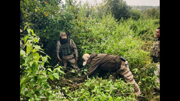 Manipur Violence: Eleven Suspected Militants Killed in Gunfight with Security Forces in Jiribam