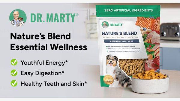 Nature’s Blend Essential Wellness: Is It Effective?