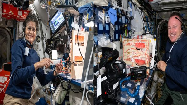 US Polls: Astronauts Sunita Williams, Butch Wilmore To Vote From Space Station
