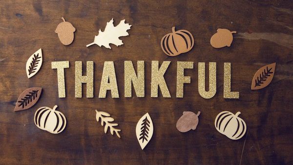 Happy Thanksgiving 2024: Top Wishes, Messages, and Status to Share with Loved Ones