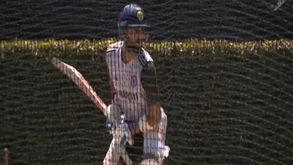 Border Gavaskar Trophy: Virat Kohli Practices At Perth Ahead Of 1st Test; Fans Climb Tree To Watch Him Bat