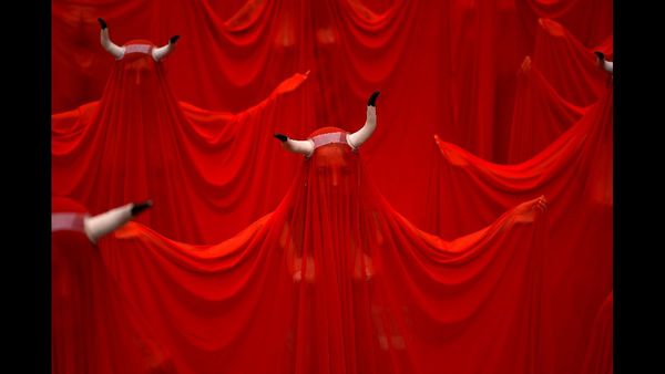 Theatre Actor Bimbadhar Gouda Arrested for Animal Cruelty During Ramayana Performance in Odisha