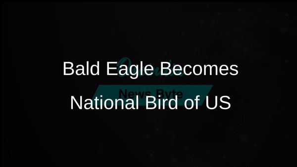 Biden Officially Designates Bald Eagle as National Bird of the United States