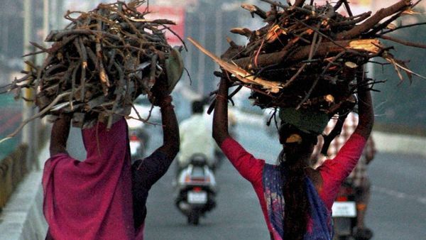 BMC Takes Action On Bakery Pollution: Given Deadline To Switch From Firewood To Electric Or PNG