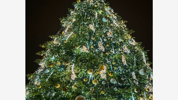 How The Christmas Tree Became The Heart Of Christmas Celebrations