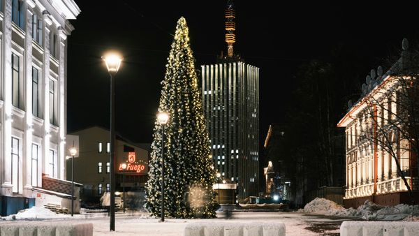 10 Intriguing Christmas Facts That Will Surprise You