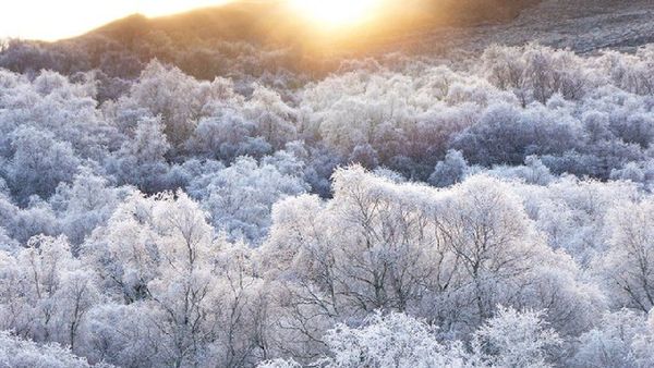 Year Ender 2024: Climate Crisis Hits New Highs with Heatwaves, Floods, and Wildfires