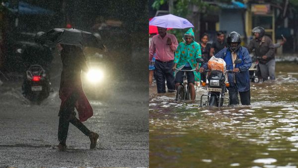 IMD Forecast: Red Alert For THIS State, Heavy Rainfall Warning In Southern India