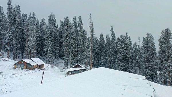 Delhi Braces For Cold Wave, Shimla Sees First Snowfall Of The Season: 10 Key Updates