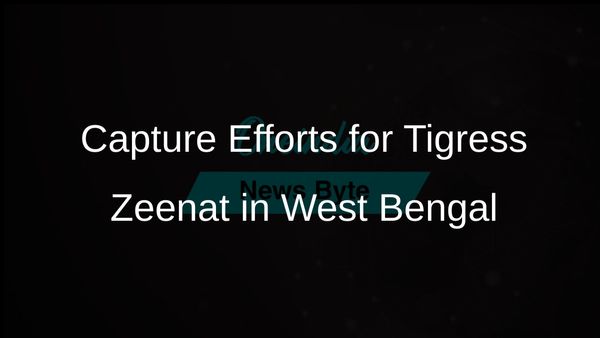 Efforts Underway to Capture Tigress Zeenat Straying into West Bengal from Odisha