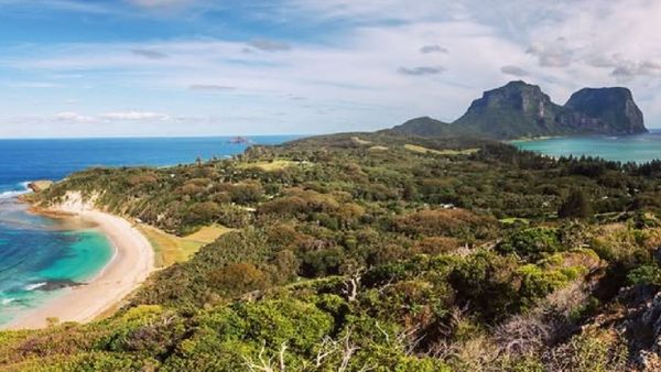 Mumbai’s First Elevated Forest Walkway: Expected Opening Date Revealed By BMC