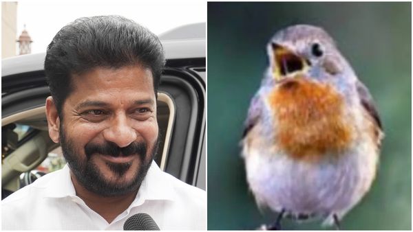 Rejuvenating Nature: How Telangana CM Revanth Reddy's Green Initiatives Are Transforming The State