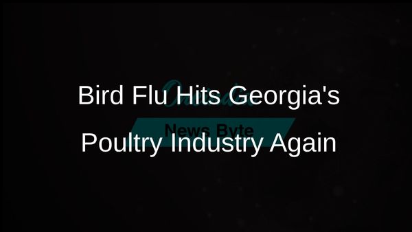 Bird Flu Detected in Georgia's Commercial Poultry Flock for First Time Since 2022 Outbreak