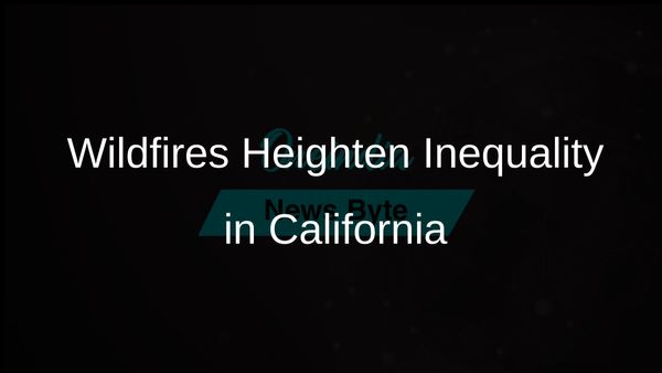 California Wildfires Intensify Inequality Among Vulnerable Communities in Los Angeles