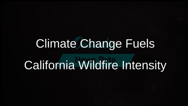 Study Reveals Climate Change Increased Likelihood and Intensity of California Wildfires