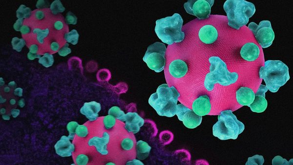 Maha Health Department Issues HMPV Guidelines Amid Rising Cases In China: Here's What You Need To Know