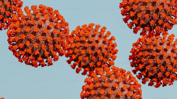 Is There A Vaccine For HMPV? Everything You Need To Know About Prevention And Protection