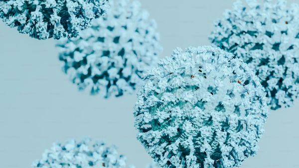 HMPV Surge In Asia: China, Malaysia Report Spike As India, Japan, Hong Kong Step Up Vigilance