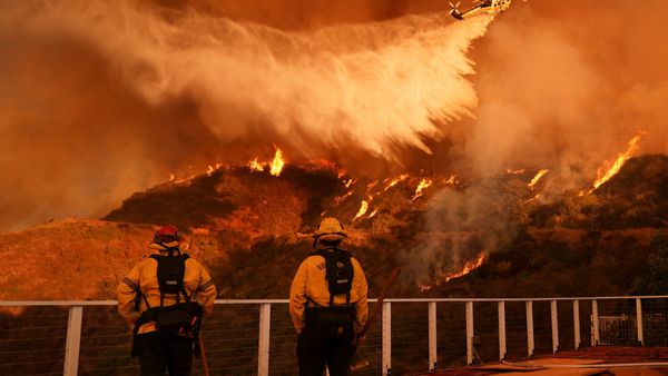 Los Angeles Wildfires Claim 24 Lives, Leave Thousands Homeless in Devastating Disaster | Key Updates