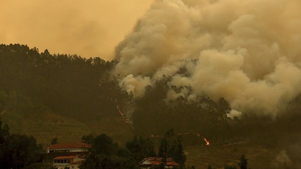 Los Angeles Wildfires Rage On: Santa Ana Winds Intensify Destruction, Death Toll Climbs
