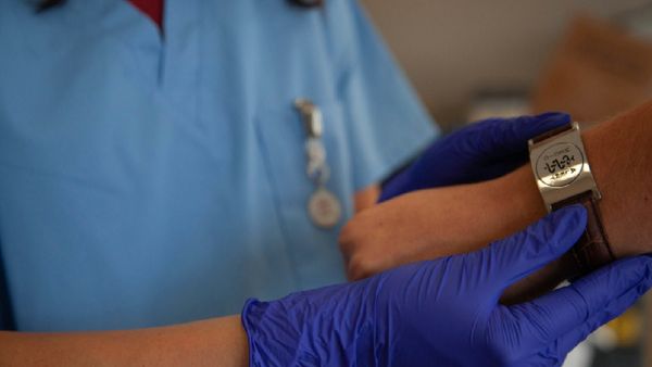 NEET UG 2025: All You Need To Know About BDS And BVSc Admission Updates