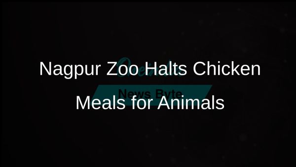 Nagpur Zoo Temporarily Suspends Chicken Meals for Wild Animals Following Avian Influenza Deaths