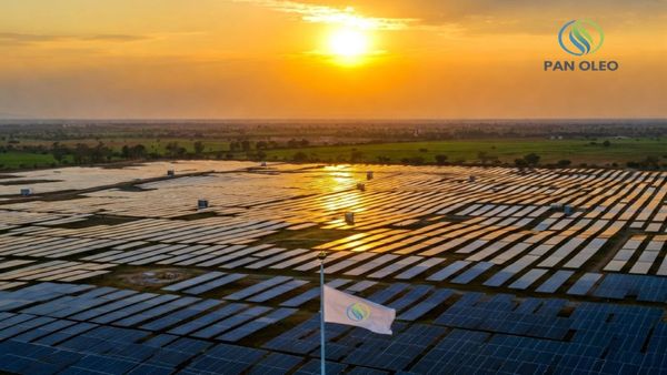 Pan Oleo Energy Limited Charts a Solar-Powered Future, Progressing Beyond Biofuels in India