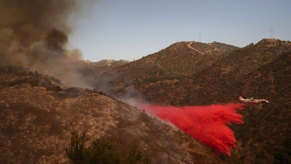 How Is Pink Powder Helping Fight California Wildfires And What’s Its Environmental Impact?