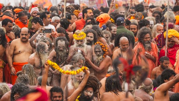 Ex-Top US Army Commander's Son Quits IT Job To Join Akhara During Maha Kumbh, Claims Seer