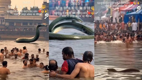 Fact Check: Is The Viral Video Of Giant 100 Feet Snake At Mahakumbh Real?