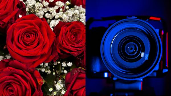 Valentine's Day 2025 Special: 100+ Couple Love Captions, Wishes And Quotes For Instagram