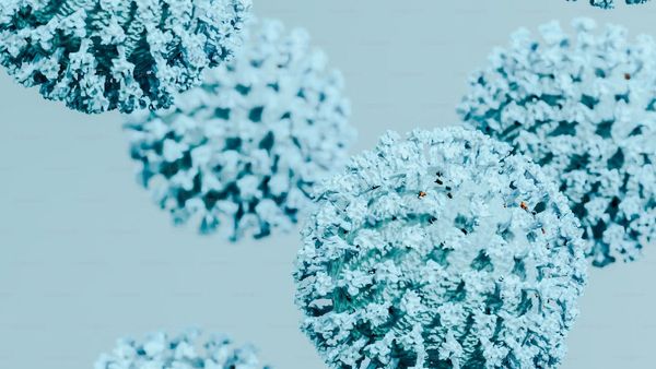 HMPV Outbreak In Gujarat: Isolation Wards Set Up After First Case Reported