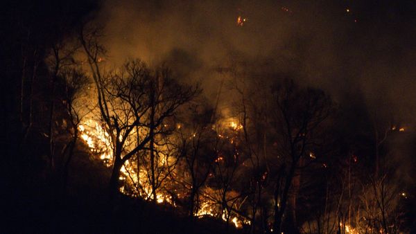 Pacific Palisades Wildfire: 30,000 Evacuated As Blaze Destroys Homes & Cars | Report