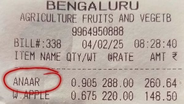 Hindi Vs Kannada Debate Reignites As Bengaluru Man Objects To 'Anaar' On Receipt