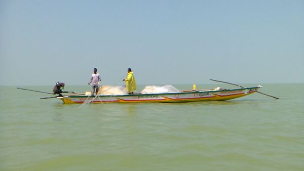 Irukkam Island: A forgotten village on the Andhra-Tamil Nadu Border