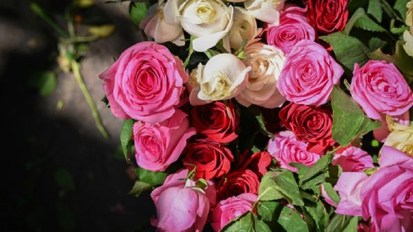 Rose Price Doubles: Couples Turn To Online Orders This Valentine’s Day