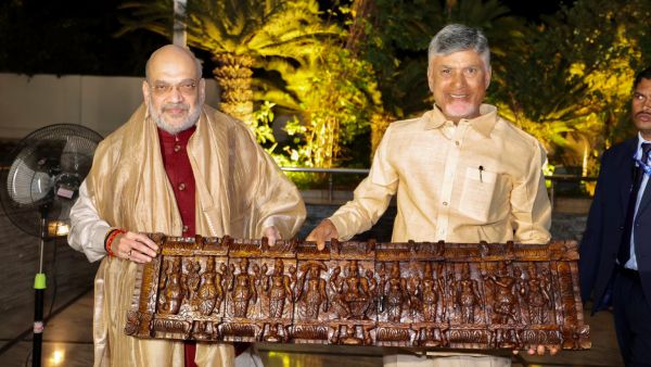 Delhi Election: Andhra CM Chandrababu Naidu To Campaign For BJP In Assembly Polls