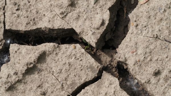 7.6 Magnitude Earthquake Shakes Caribbean, Some Islands Urge Residents To Leave Coastlines