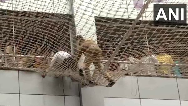 Suicide Attempt At Maharashtra Secretariat Mantralaya Foiled By Protective Net