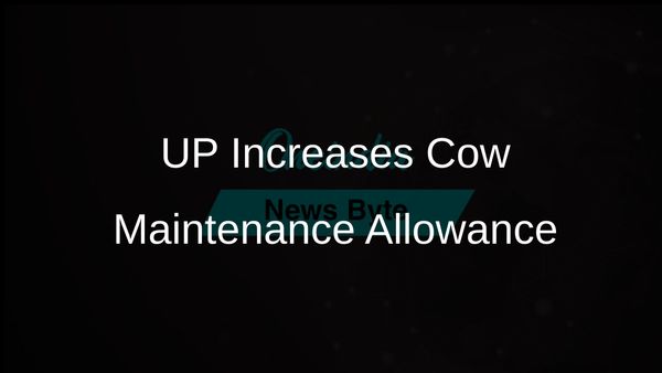 Uttar Pradesh Government Raises Daily Cow Maintenance Allowance to Support Bovine Welfare Initiatives