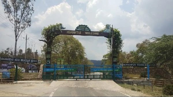 Bengaluru Family Mysteriously Goes Missing from Bandipur Resort, Cops on Alert