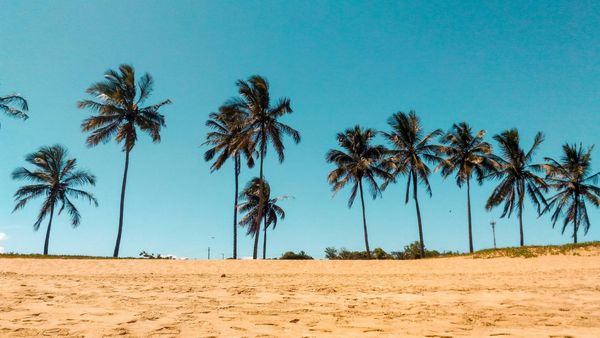 Amid Concerns Over Overcrowded Beaches, Anand Mahindra Spots a Unique Opportunity