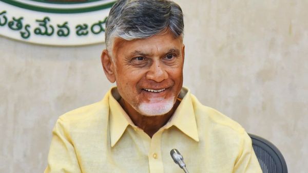 Chandrababu Naidu Bats For Balanced Approach Amid Language Row, Says 'Hindi Useful For Communication In Delhi'