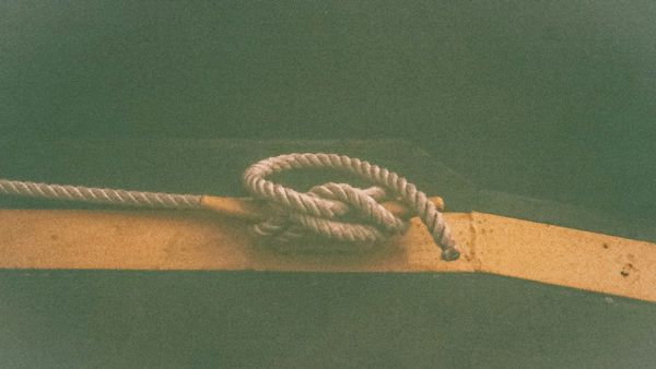 Swindon Woman Found Dead At Home, Dogs Partially Consume Her Body