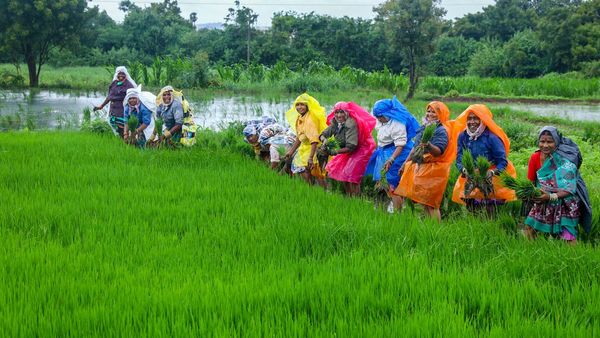 Bihar Women Farmers Turn To Solar Pumps; Overcome Patriarchy, Irrigation Woes